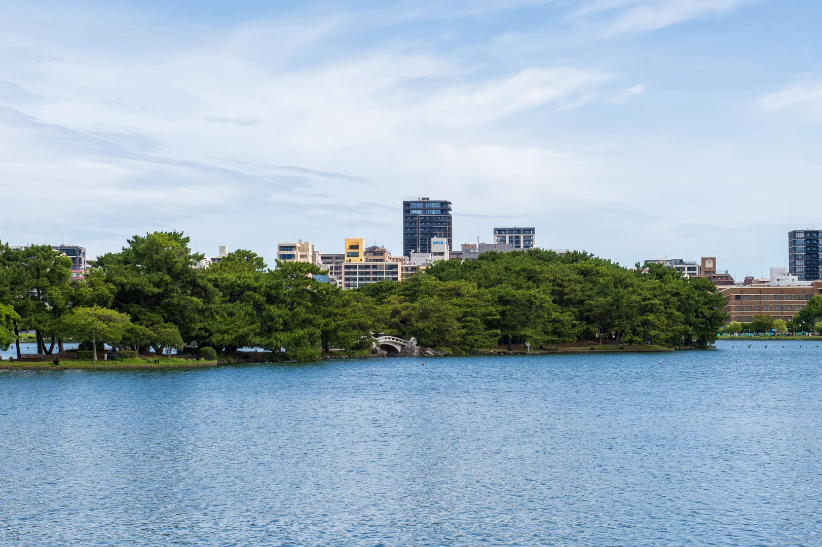 草香江で住む人のいない空き家と手つかずの空き地が隣り合う様子