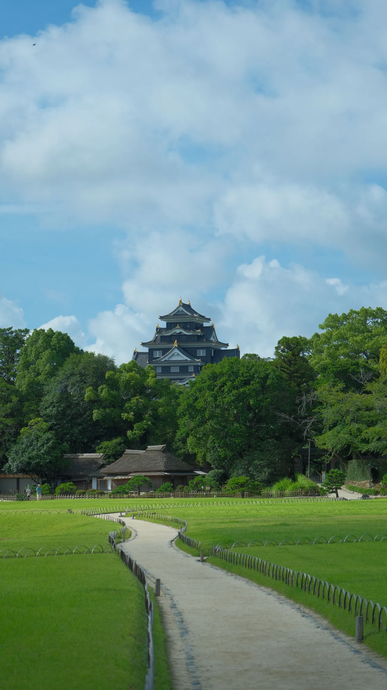 地域に根ざした提案