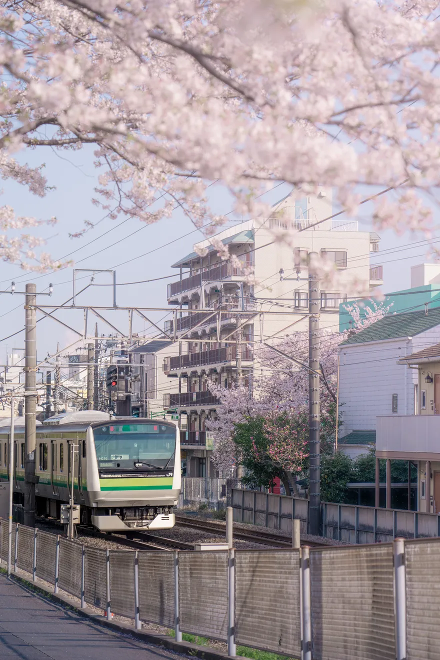 自由が丘駅周辺の商店街と住宅街の街並み