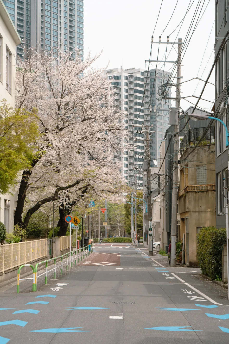 柿の木坂の閑静な住宅街と坂道の街並み