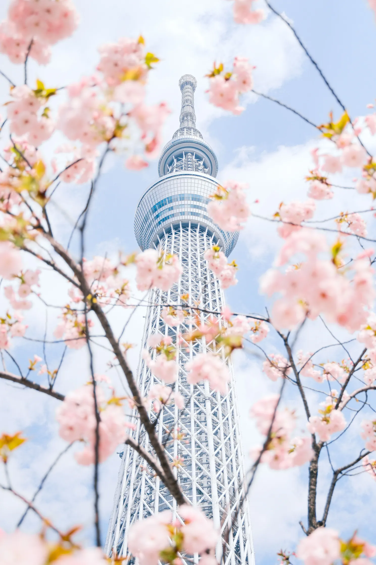 大岡山エリアの住宅街と東京支店の対応範囲