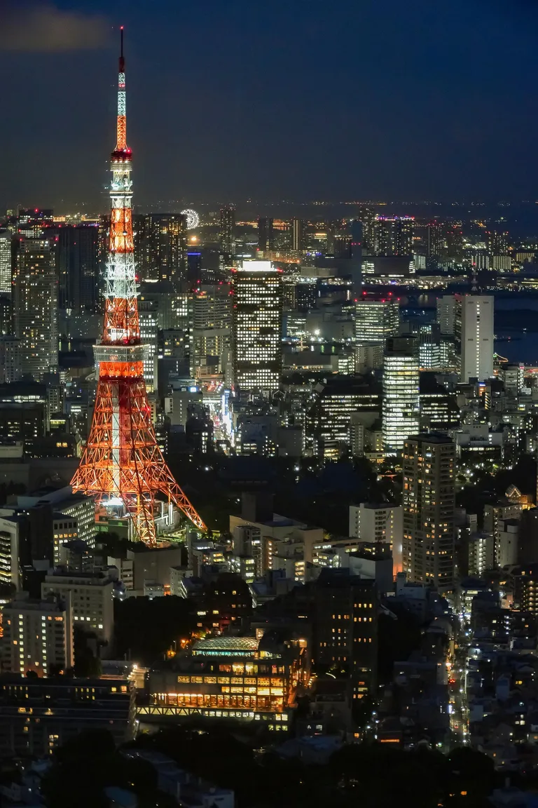 地域に根ざした底地問題のサポート